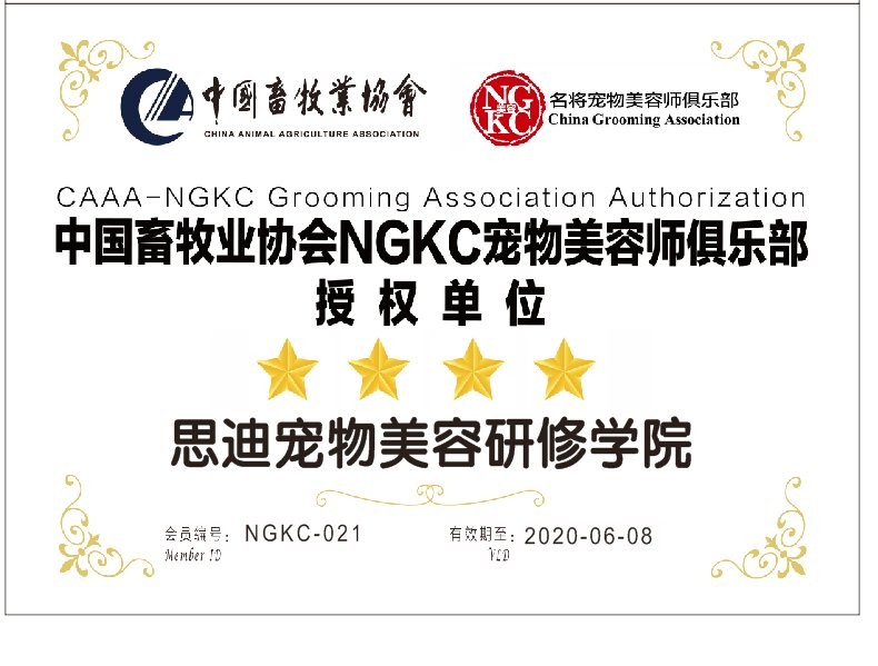 宠物美容培训学校 宠物美容培训学校